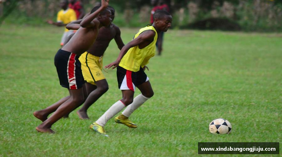 解读永利皇宫注册登录